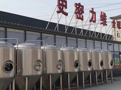 青河精酿啤酒设备厂—市场规模与跨界新需求